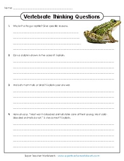 Vertebrate Thinking Questions 4th Grade Science Worksheet