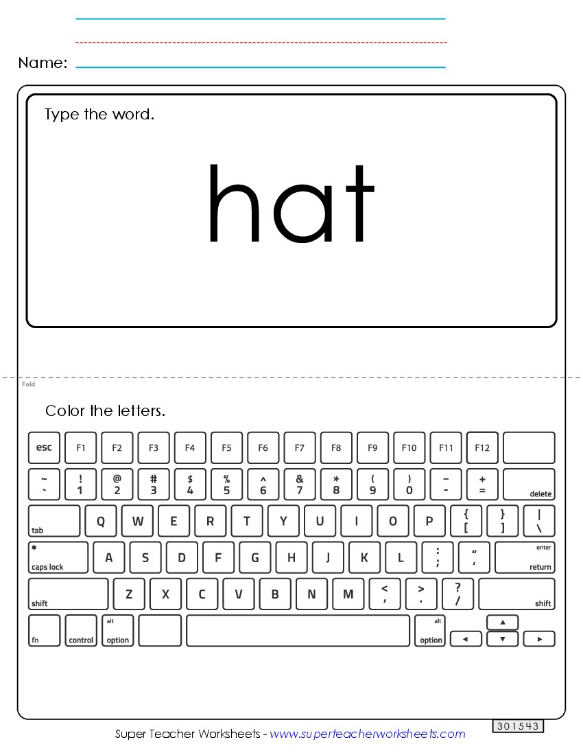 Type the Word: Hat Sight Words Individual Worksheet