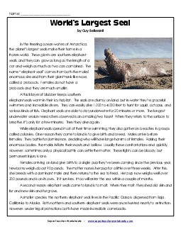 Elephant Seals 6th Grade Reading Comprehension Worksheet