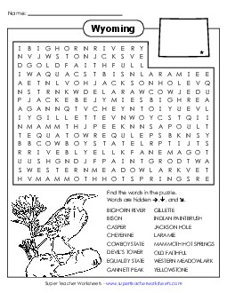 Word Search Puzzle States Individual Worksheet