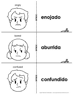 Flashcards: Feelings/Emotions Spanish Vocabulary Worksheet