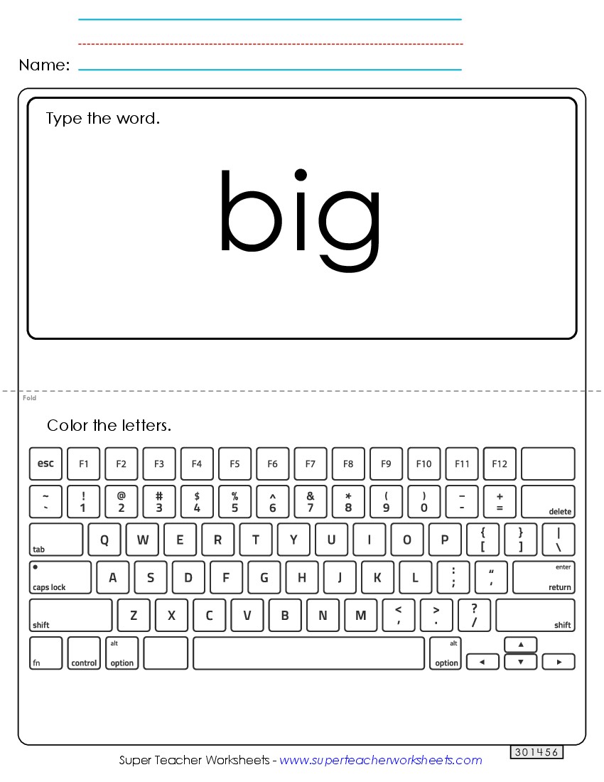 Type the Word: Big Sight Words Individual Worksheet