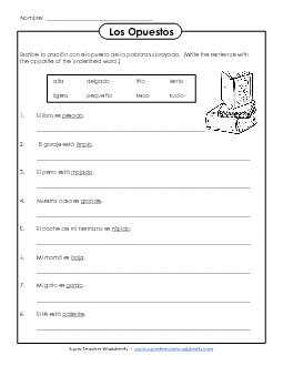 Opposites Spanish Worksheet