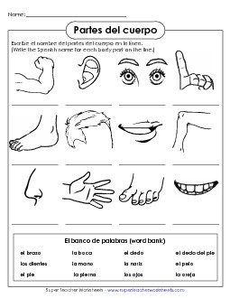 Write the Words: Body Parts Spanish Worksheet