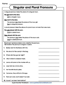 Singular and Plural Pronouns Worksheet