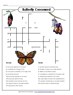 Butterfly Crossword (Intermediate) Animals Worksheet