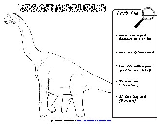 Brachiosaurus Fact File Dinosaurs Worksheet