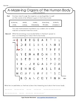 A-Maze-ing Human Body A Maze Ing Worksheet