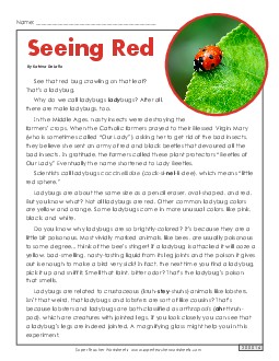 Seeing Red 5th Grade Reading Comprehension Worksheet