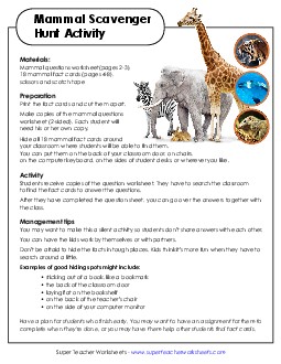 Mammals Scavenger Hunt Free Animals Worksheet