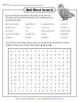 Bird Word Search Wordsearch Worksheet