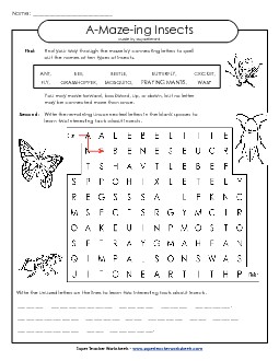 Word-Maze Puzzle: Insects (Intermediate) A Maze Ing Worksheet