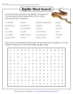 Reptile Word Search Wordsearch Worksheet