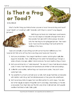 Is That a Frog or Toad? (Article) 4th Grade Reading Comprehension Worksheet