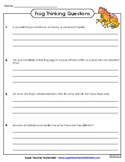 Frog Life Cycle Thinking Questions Animals Worksheet