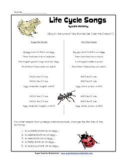 Life Cycle Songs Worksheet