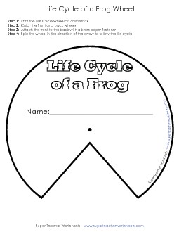 Frog Life Cycle Wheel Animals Worksheet