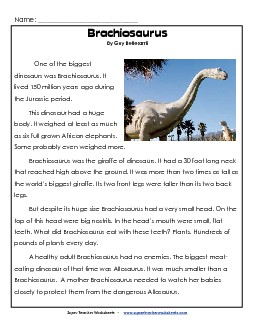 Brachiosaurus Dinosaurs Worksheet