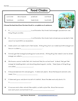 Food Chain: Fill-in-the-Blanks  Food Chains Worksheet