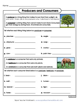 Producers and Consumers Food Chains Worksheet