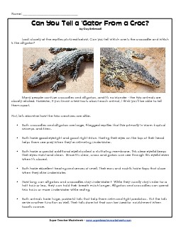 Alligators and Crocodiles: Compare/Contrast Reading Comprehension Worksheet