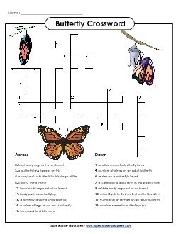 Butterfly Crossword Animals Worksheet