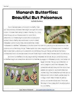 Monarch Butterfly (Article) 3rd Grade Reading Comprehension Worksheet