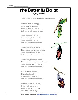 Butterfly Ballad Songs Worksheet