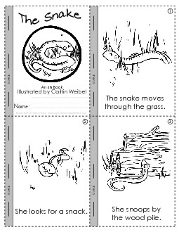 The Snake (sn sound) Minibooks Worksheet