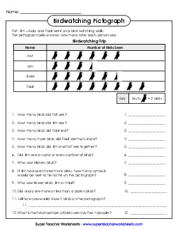 Birdwatching Pictograph Graphing Worksheet