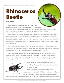 Rhinoceros Beetle 6th Grade Reading Comprehension Worksheet