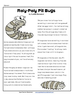 Pill Bugs Reading Comprehension Worksheet