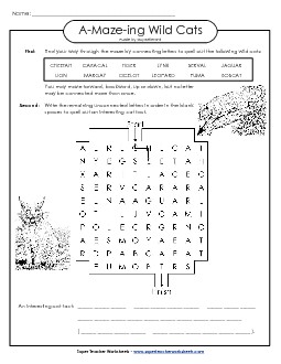 Word Maze: Wild Cats (Mammals) A Maze Ing Worksheet