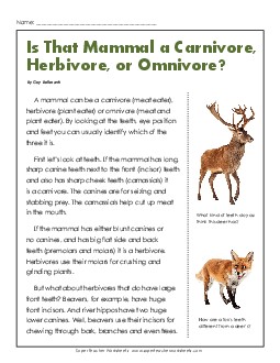 Carnivores, Herbivores, and Omnivores 4th Grade Reading Comprehension Worksheet