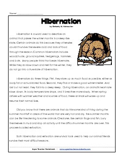 Hibernation (Non-Fiction) Reading Comprehension Worksheet