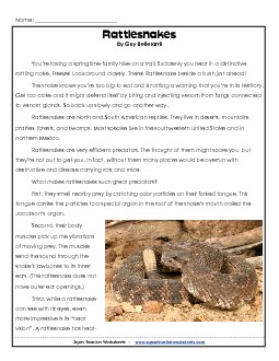 Rattlesnakes 5th Grade Reading Comprehension Worksheet