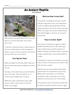 Tuatara 5th Grade Reading Comprehension Worksheet