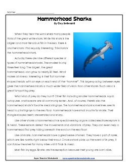 Hammerhead Sharks 4th Grade Reading Comprehension Worksheet