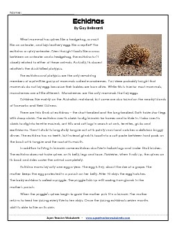 Spiny Anteaters (Echidnas) 5th Grade Reading Comprehension Worksheet