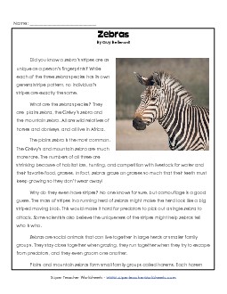 Zebras 5th Grade Reading Comprehension Worksheet