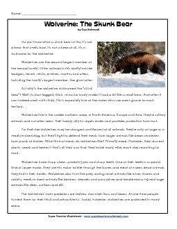 Wolverines 4th Grade Reading Comprehension Worksheet