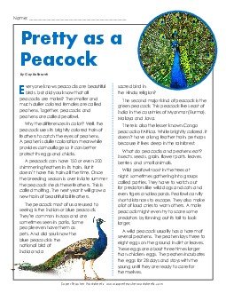 Peacocks (Peafowl) 5th Grade Reading Comprehension Worksheet