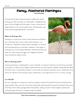 Flamingo 4th Grade Reading Comprehension Worksheet