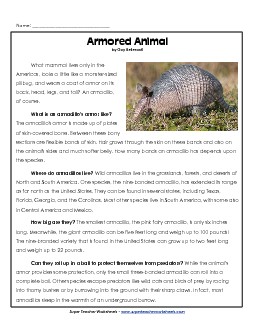 Armadillos 5th Grade Reading Comprehension Worksheet