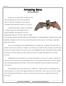 Bats Reading Comprehension Worksheet