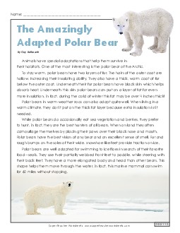 Polar Bears (Article) 4th Grade Reading Comprehension Worksheet