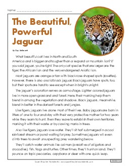 Jaguars 5th Grade Reading Comprehension Worksheet