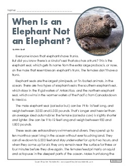 Elephant Seals 5th Grade Reading Comprehension Worksheet