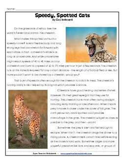 Cheetahs 5th Grade Reading Comprehension Worksheet