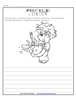 Chapter 3: Picture Summary Books Worksheet